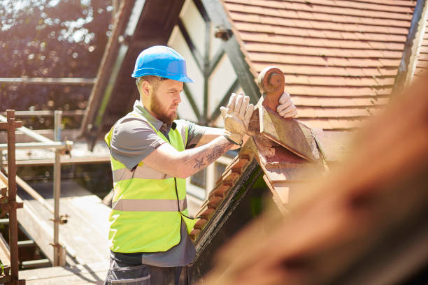 Best Roof Maintenance Services  in River Edge, NJ